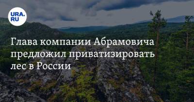 Глава компании Абрамовича предложил приватизировать лес в России