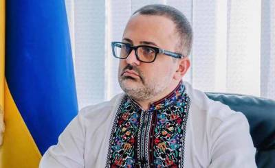 Георгий Биркадзе: одиозный экс-чиновник снова рвется во власть
