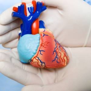 Французская компания продала первое искусственное сердце