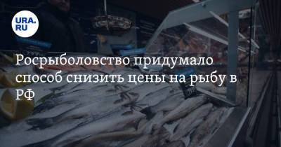 Росрыболовство придумало способ снизить цены на рыбу в РФ