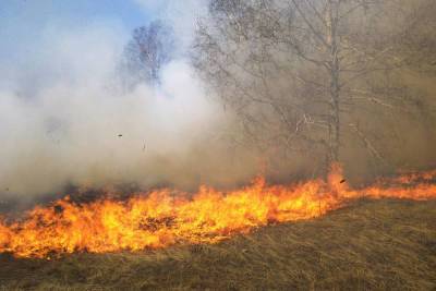 Глава Якутии назвал глобальное потепление причиной лесных пожаров в регионе
