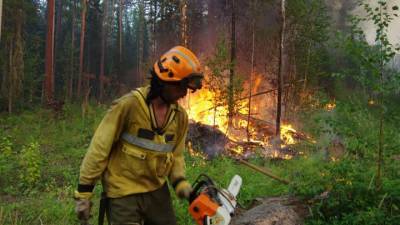 Количество лесных пожаров в Якутии сокращается
