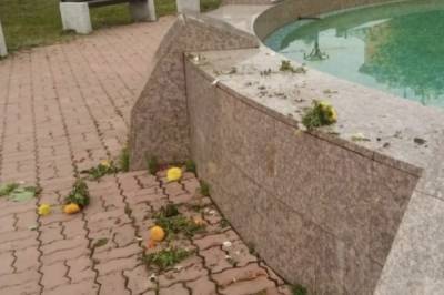 В центре Комсомольска-на-Амуре вандалы засорили фонтан цветами из клумбы