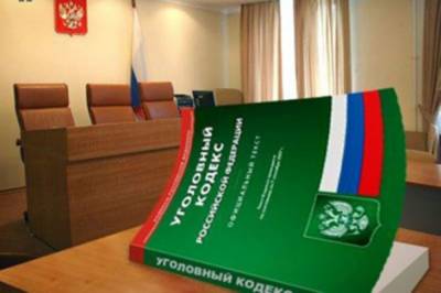 В УК РФ увеличат количество статьей с конфискацией имущества
