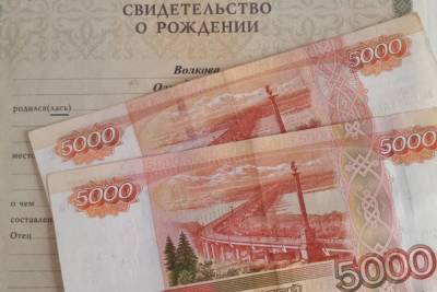 Костромские родители за неделю подали 50 тысяч заявлений на получение «путинских пособий»