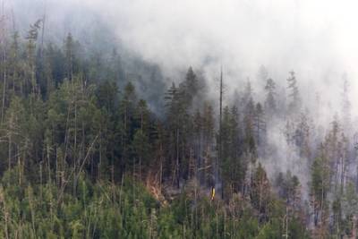 Более 100 населенных пунктов Якутии заволокло дымом