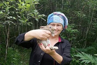 Жительница Новосибирской области нашла в лесу зайца на грани гибели