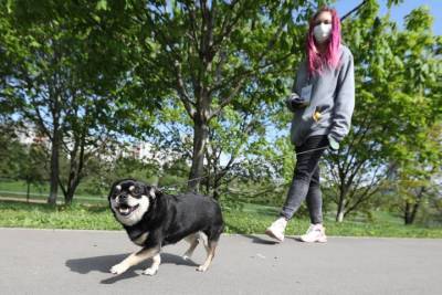 Прогулки в парках: столичные ветеринары напомнили о правилах выгула питомцев