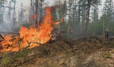 В Якутии дым от лесных пожаров накрыл более сотни населенных пунктов