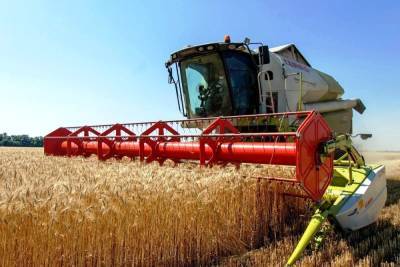 Нижегородские аграрии собрали первые 60 тысяч тонн зерна