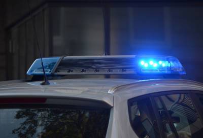 Полиция задержала грабителя, напавшего на 87-летнюю женщину в Красногвардейском районе
