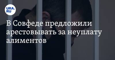 В Совфеде предложили арестовывать за неуплату алиментов