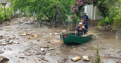 Вода с гор хлынула на огороды и дворы: в Закарпатье затопило несколько сел