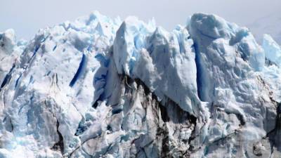 В тибетских ледниках нашли вирусы возрастом 15 тысяч лет