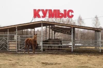 На Южном Урале администрация требует от депутата снести незаконное здание на сельхозземле