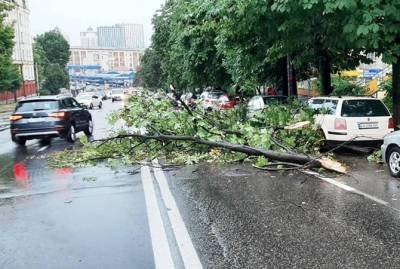В Украине объявили штормовое предупреждение: по каким областям пронесетя непогода
