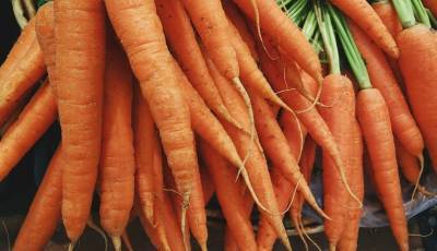 На липецких ярмарках морковь продают по 35 рублей за килограмм