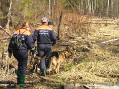 В Приморье в лесу нашли два обгоревших трупа
