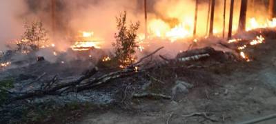 «Авиалесоохрана»: площадь лесных пожаров в Карелии превысила 7 тысяч гектаров