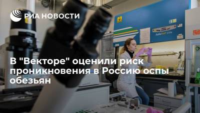 В научном центре "Вектор" рассказали, что риск проникновения в Россию оспы обезьян низкий