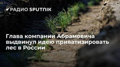 Глава компании Абрамовича выдвинул идею приватизировать лес в России