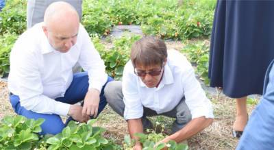 Сергей Артамонов осмотрел, как в Чувашии выращивают клубнику и разводят форель