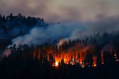 В Магаданской области горит 134 га леса