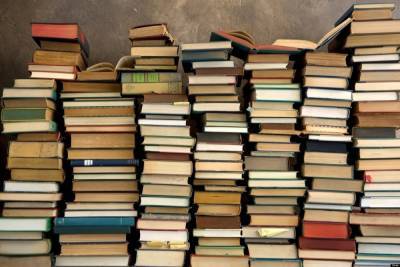 Брянской воспитательной колонии подарили более 80 книг