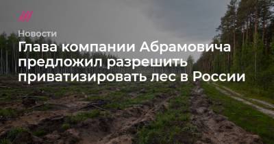 Глава компании Абрамовича предложил разрешить приватизировать лес в России