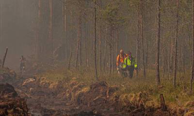 Сколько леса в Карелии горит сегодня: есть новые пожары