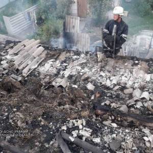 В Запорожской области спасатели тушили пожар в жилом доме. Фото