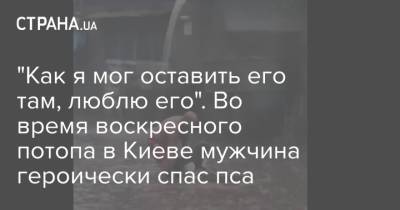 "Как я мог оставить его там, люблю его". Во время воскресного потопа в Киеве мужчина героически спас пса