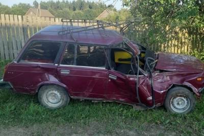 Водитель разогнался и врезался в дерево в Тверской области