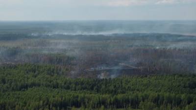 Вологодскую область охватили лесные пожары
