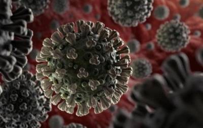 ВОЗ зафиксировали штамм коронавируса "Лямбда" более чем в 30 странах - skuke.net - Эквадор - Аргентина - Чили