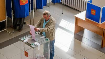 Автоматические урны для подсчёта голосов достанутся лишь семи районам Петербурга