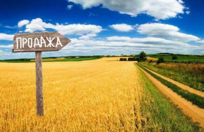 Украинцы посоветовали Зеленскому закрыть рынок земли и вернуться к юмору