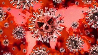 Биолог оценил вероятность появления более смертоносного штамма коронавируса