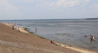 Специалисты объяснили, почему Волга в Чувашии ежегодно превращается в зеленую муть