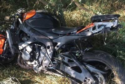 Молодой кубанский мотоциклист врезался в дерево и погиб