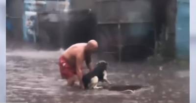 В Киеве мужчина прославился спасением собаки во время ливня (фото, видео) - focus.ua - Украина - Киев - Охранник