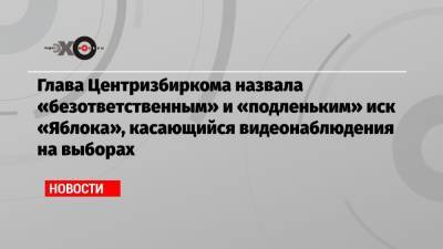 Глава Центризбиркома назвала «безответственным» и «подленьким» иск «Яблока», касающийся видеонаблюдения на выборах