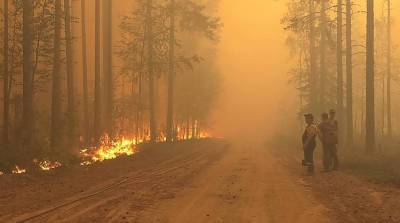 В Карелии ввели режим ЧС из-за лесных пожаров