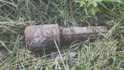 Житель Омской области принёс в свой двор найденную гранату времён войны