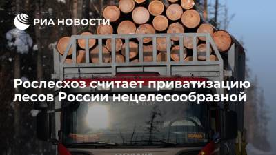 Пресс-служба Рослесхоза: приватизация российских лесов в настоящее время нецелесообразна