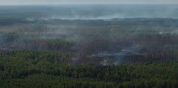 В лесах Вологодской области бушуют пожары
