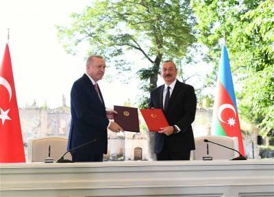 Первый официальный визит делегации Азербайджана в Северный Кипр знаменует старт признания Баку независимости ТРСК