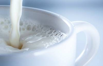 Австрия экспортировала молочки на 1,3 млрд евро