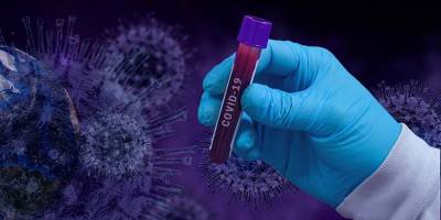 Эпидемиологи: антитела к Covid сохраняются не менее 9 месяцев