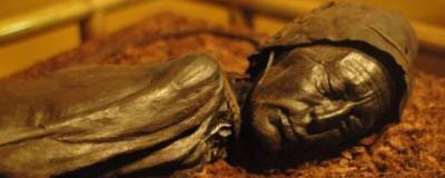 Ученые выяснили, что съел перед смертью человек из Толлунда, умерший 2,5 тысячи лет назад